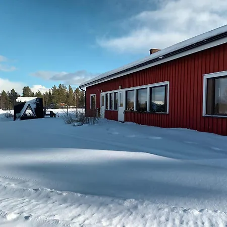 Mursuaho Family * Impio