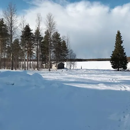 Mursuaho Family * Impio