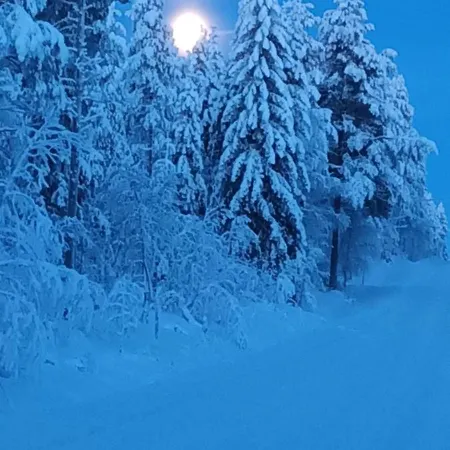 Mursuaho Family בית הארחה *