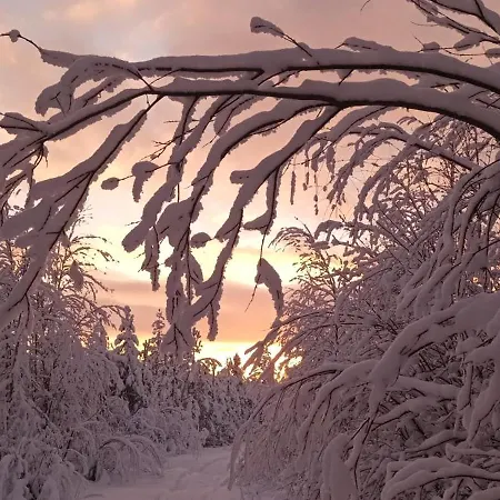 Maison d'hôtes Mursuaho Family