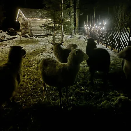 Mursuaho Family Impio