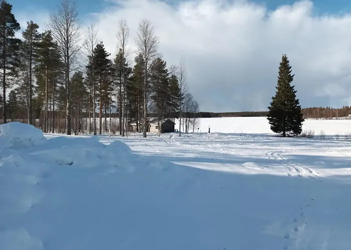 Mursuaho Family * Impio