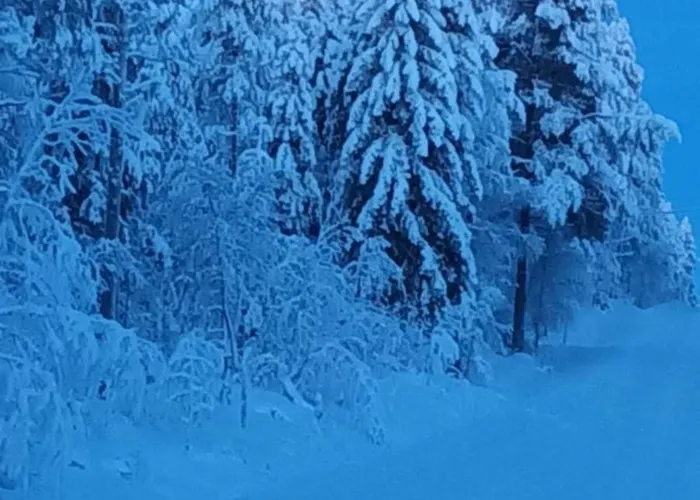 Mursuaho Family Pensión *