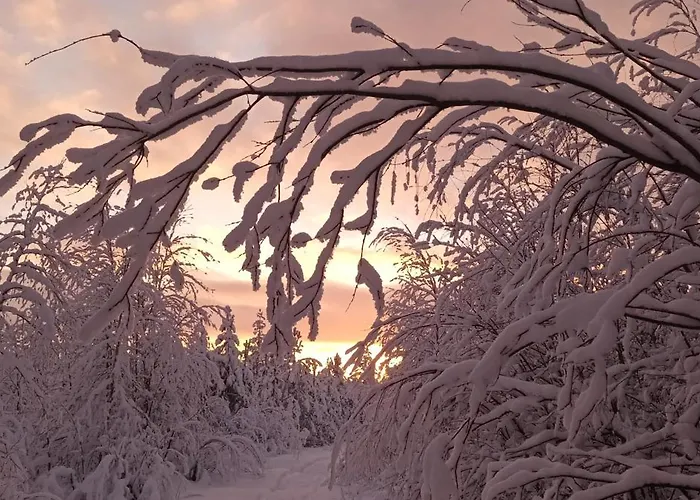 Pensión Mursuaho Family