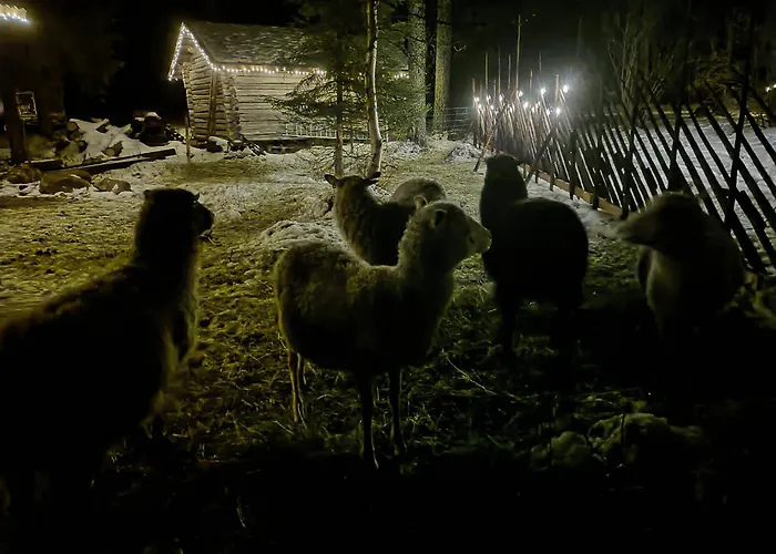 Mursuaho Family Impio